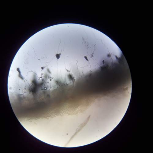 Photo #6617564