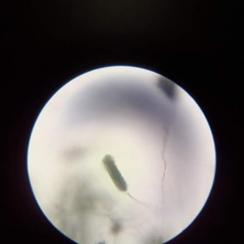 Photo #6617566