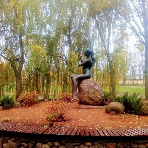 Photo #6617622