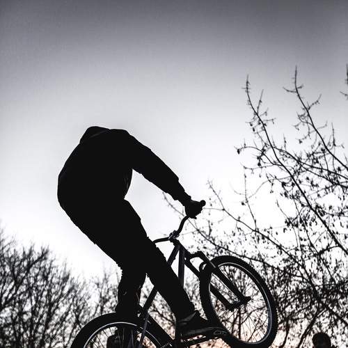 Photo #6617778