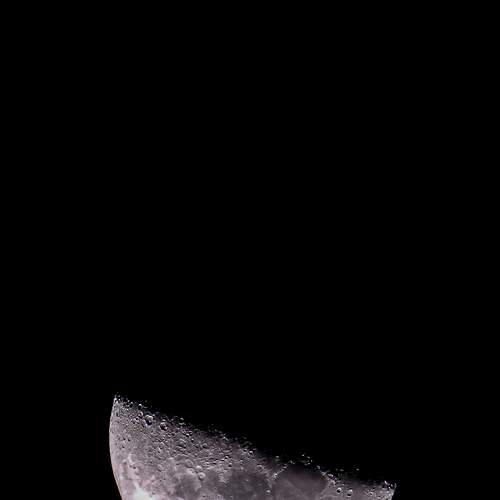Photo #6617829