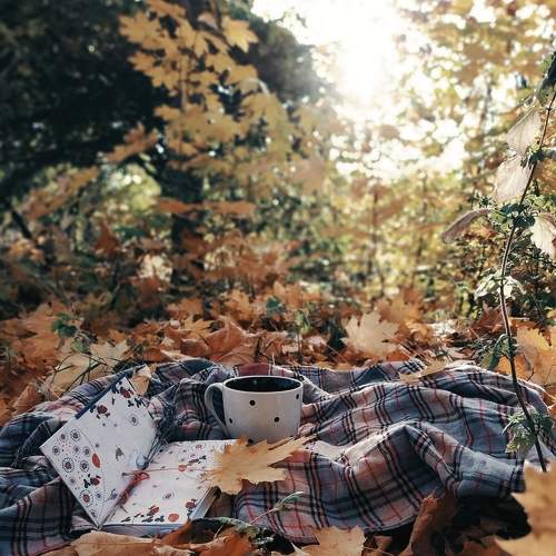 Photo #6617986