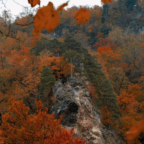 Photo #6618138