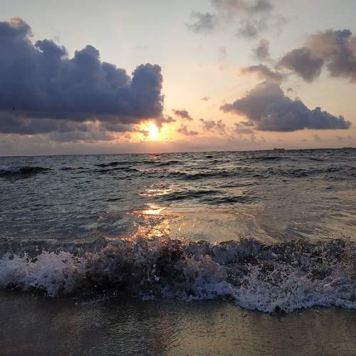 Photo #6618433