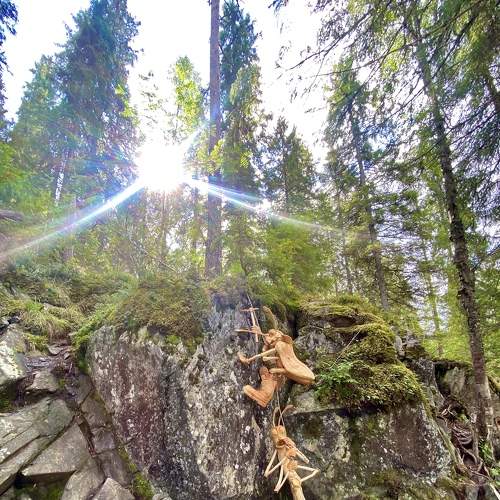 Photo #6618457