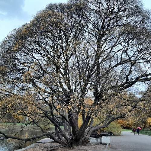 Photo #6618481