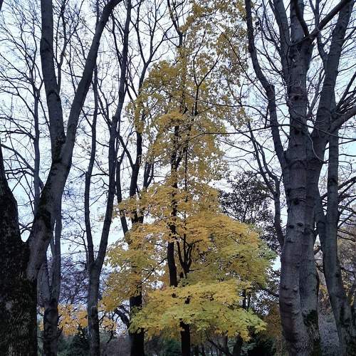 Photo #6618484