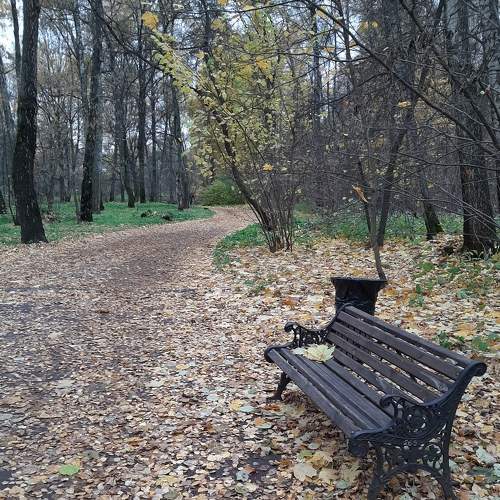 Photo #6618489