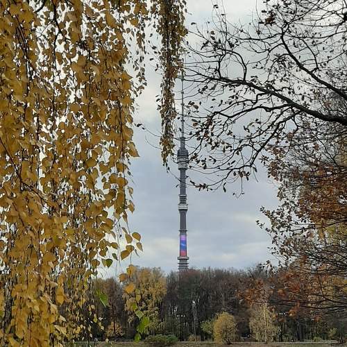 Photo #6618490