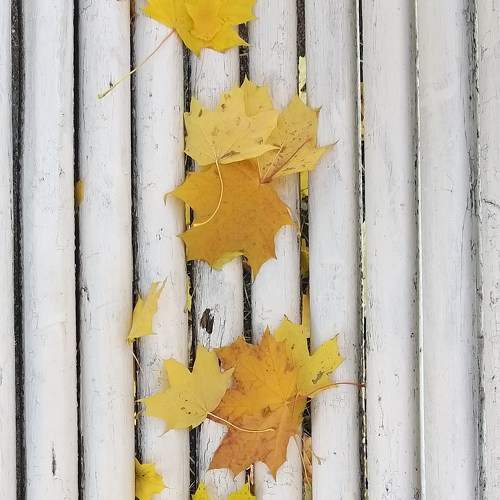 Photo #6618537