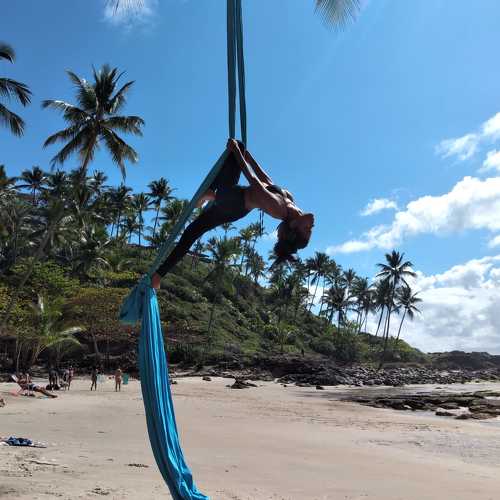 Photo #6618606