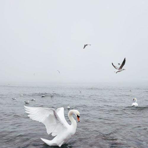 Photo #6618626