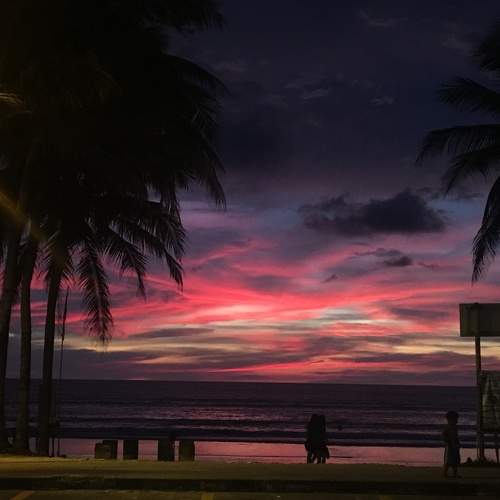 Photo #6618630