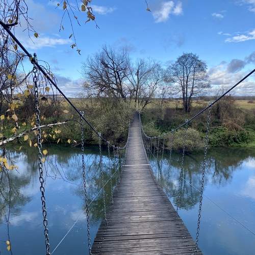 Photo #6618718