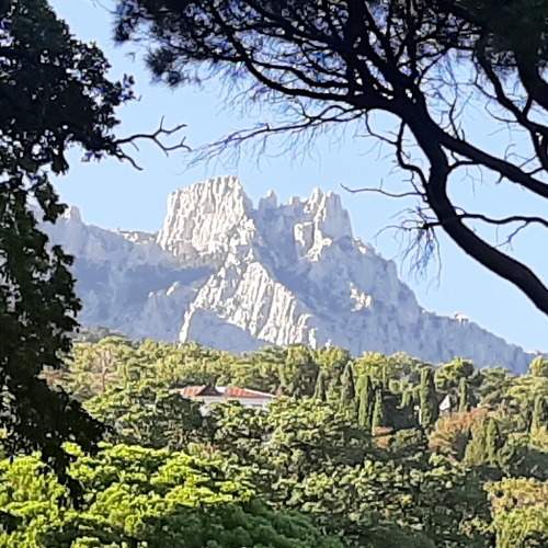 Photo #6618949