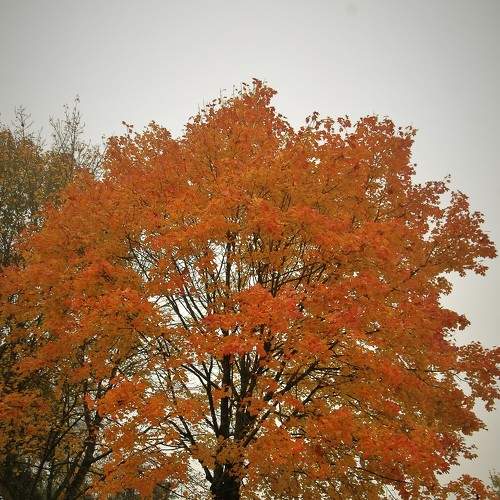 Photo #6619031