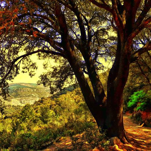 TARDOR AL BAIX CAMP