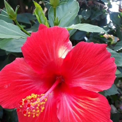 Photo #6619304