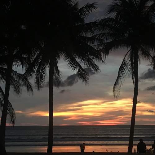 Photo #6619321