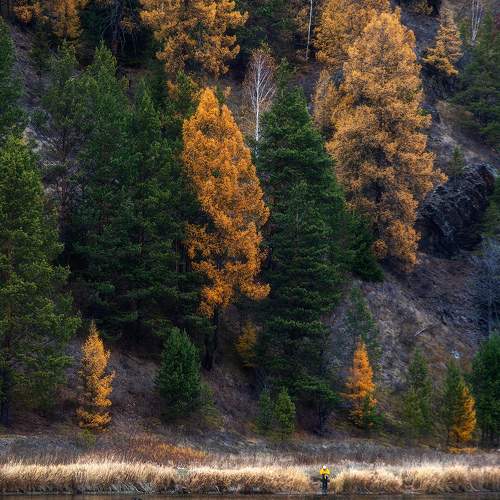 Photo #6619677