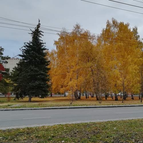 Photo #6620104