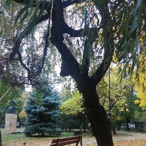 Photo #6620127