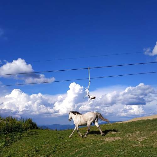 Photo #6620331
