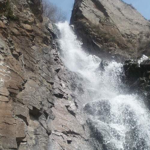Photo #6620353
