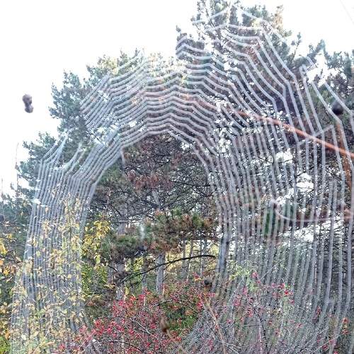 Photo #6620460