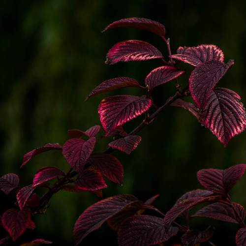 Photo #6620679