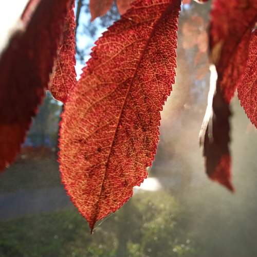 Photo #6620733
