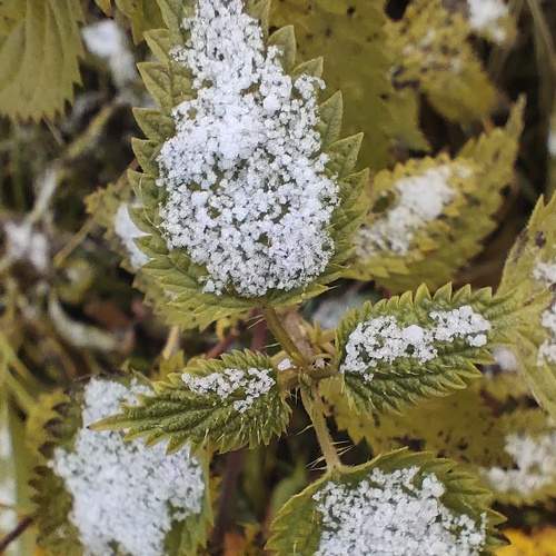 Photo #6621017