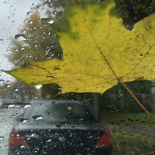 Photo #6621358