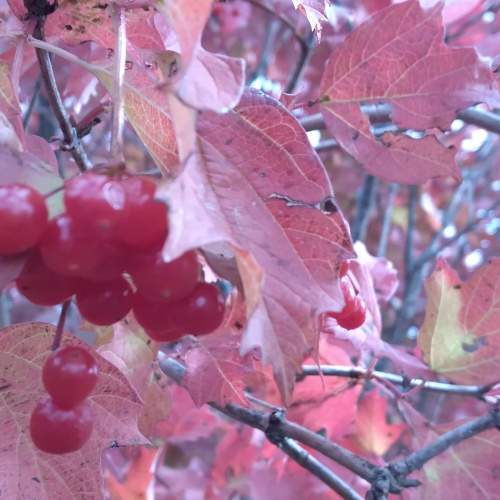 Photo #6621381