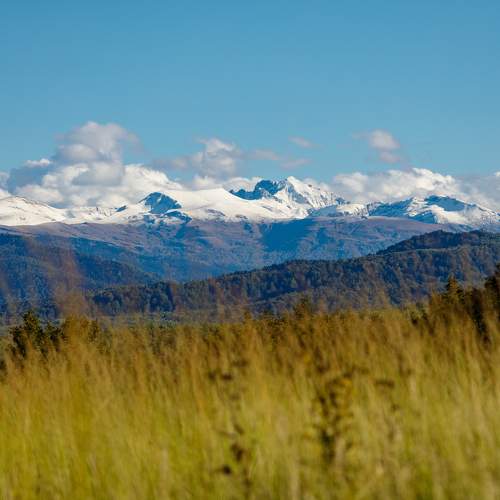 Photo #6621393