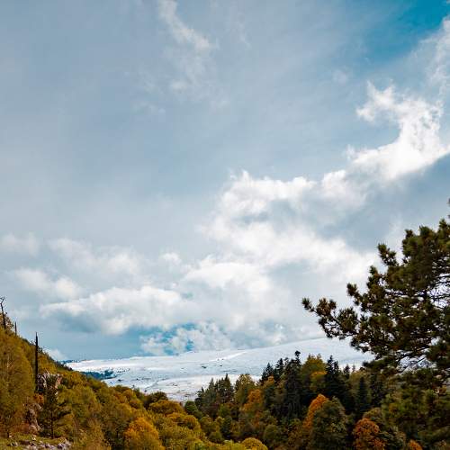 Photo #6621411