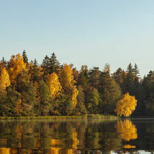 Photo #6621444