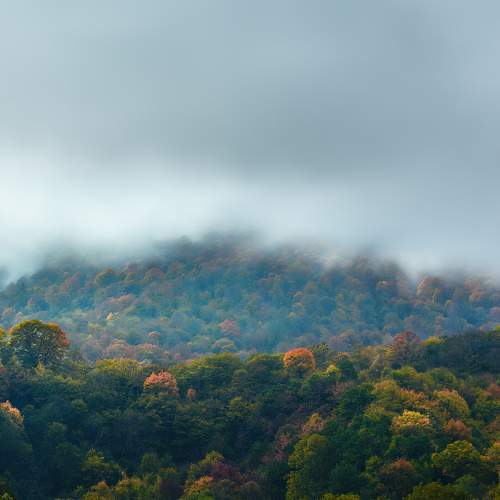 Photo #6621615