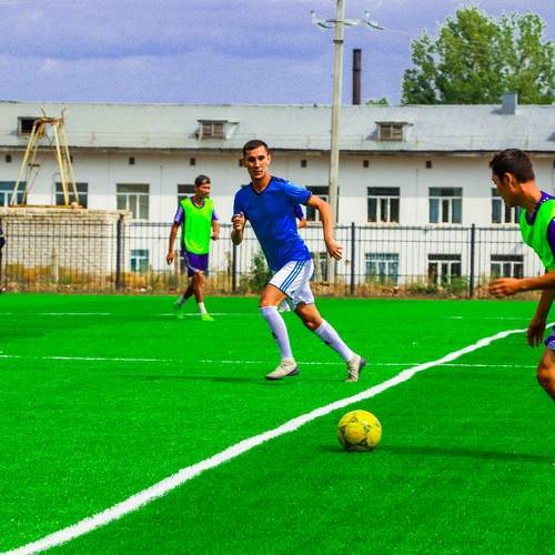 Photo #6621731