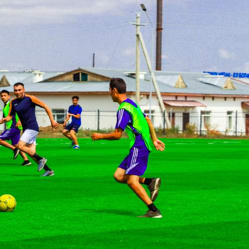 Photo #6621758