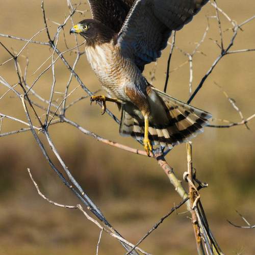 Photo #6621970