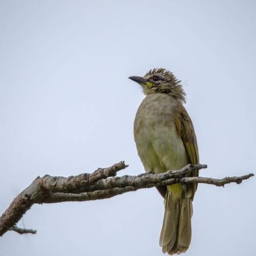 Photo #6622103