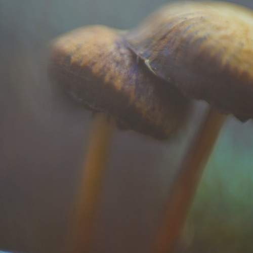 Photo #6622645