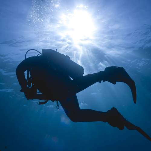 Diving in the Red Sea
