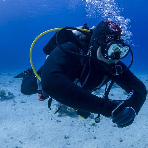 Diving in the Red Sea