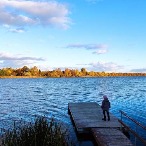 Photo #6622892