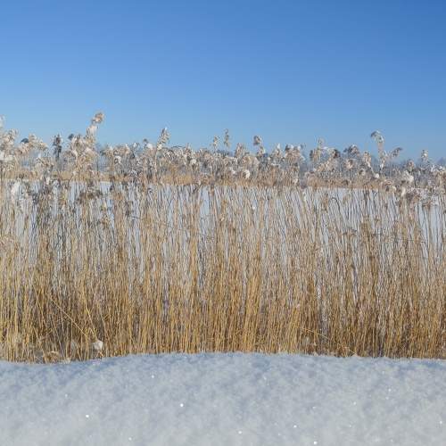 Photo #6622908