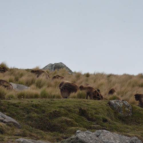Photo #6623002