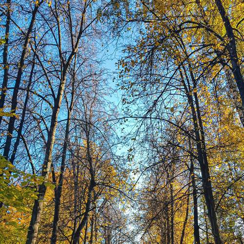 Photo #6623156
