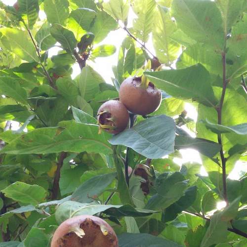 Photo #6623324